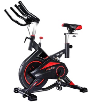 Powertrain RX-900 Exercise Bike