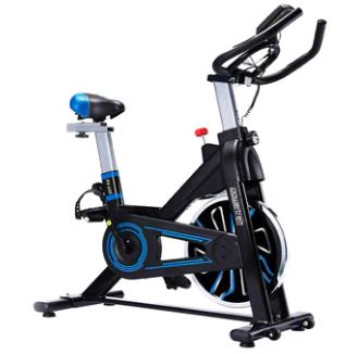 PowerTrain RX-600 Exercise Bike