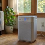 Best Air Purifier Au