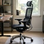 Office Chairs for Back Pain