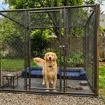 The 9 Best Outdoor Dog Kennels in Australia