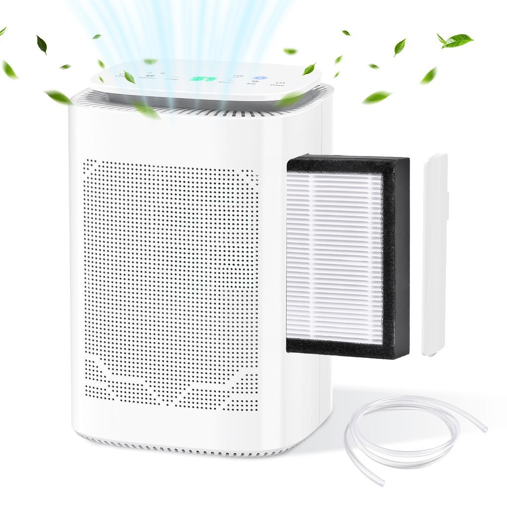 Advwin Portable Dehumidifier with Air Purifier