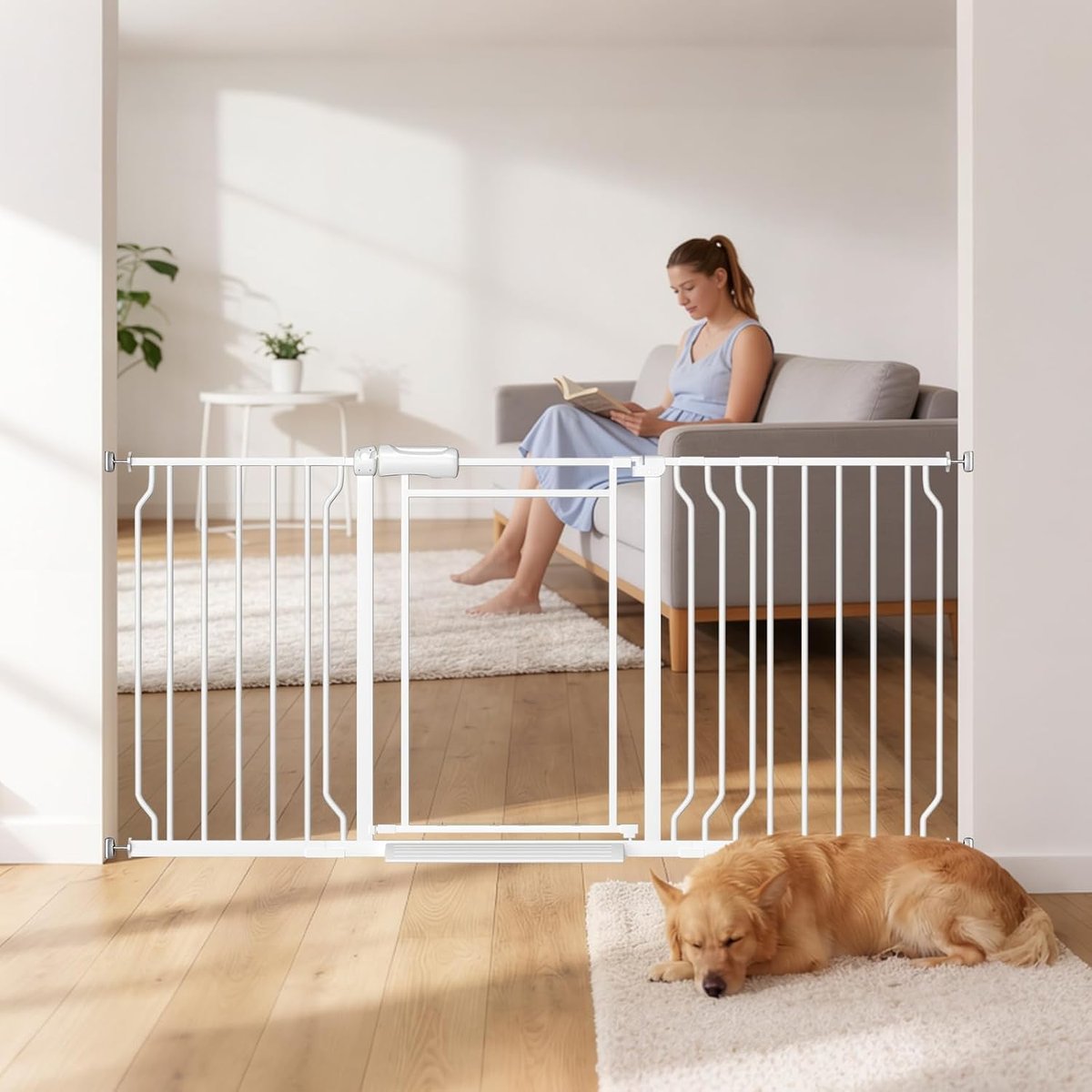 ALLAIBB Clear Acrylic Panel Gate