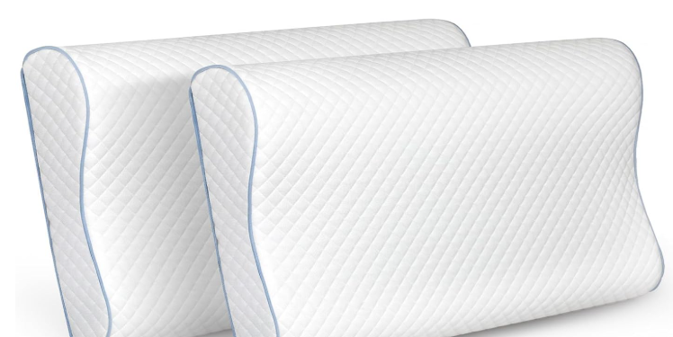 Dreamz Cervical Memory Foam Pillow
