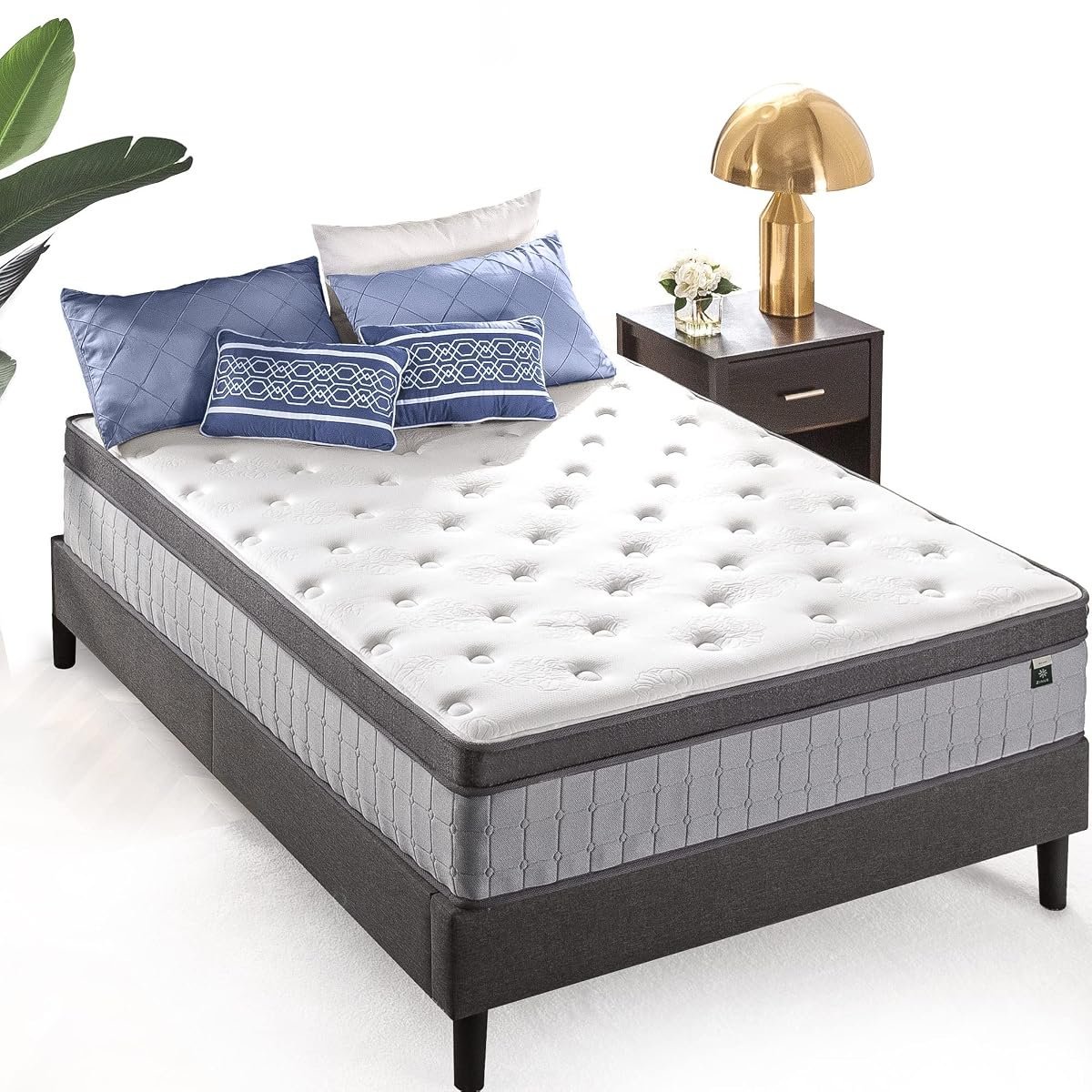Zinus Support Plus Mattress