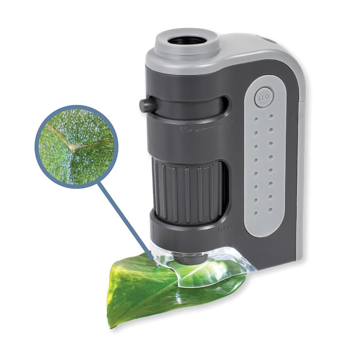 Carson MicroBrite Plus kids microscope