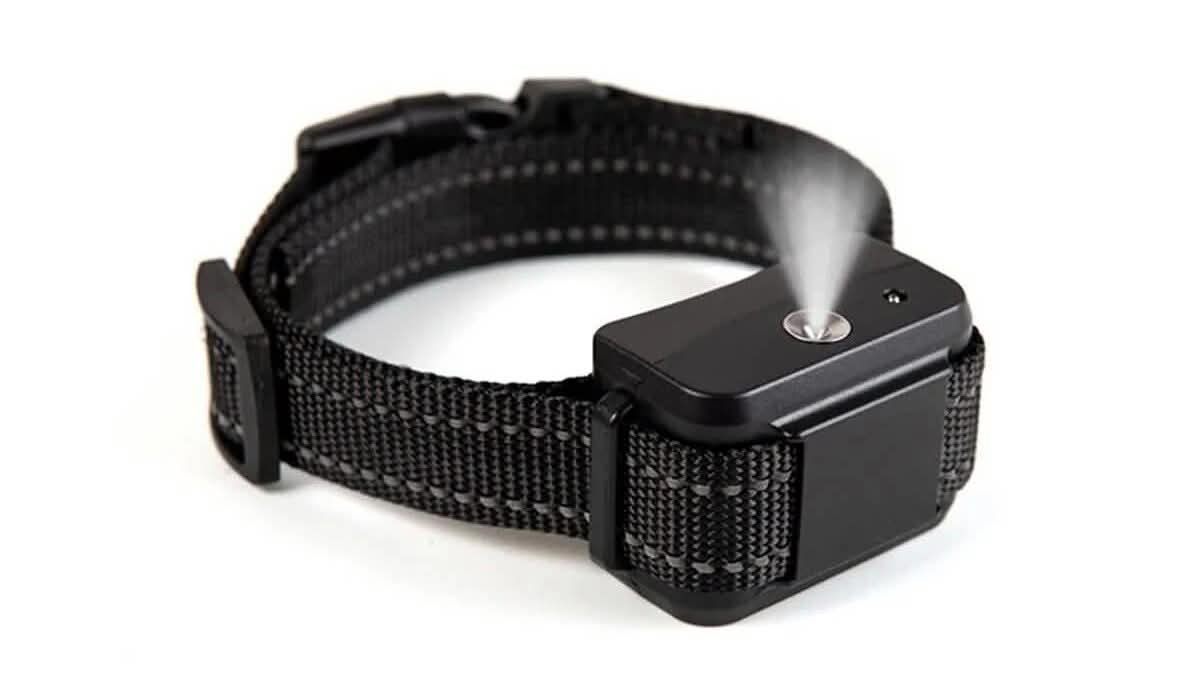 Citronella Bark Collar Without Shock