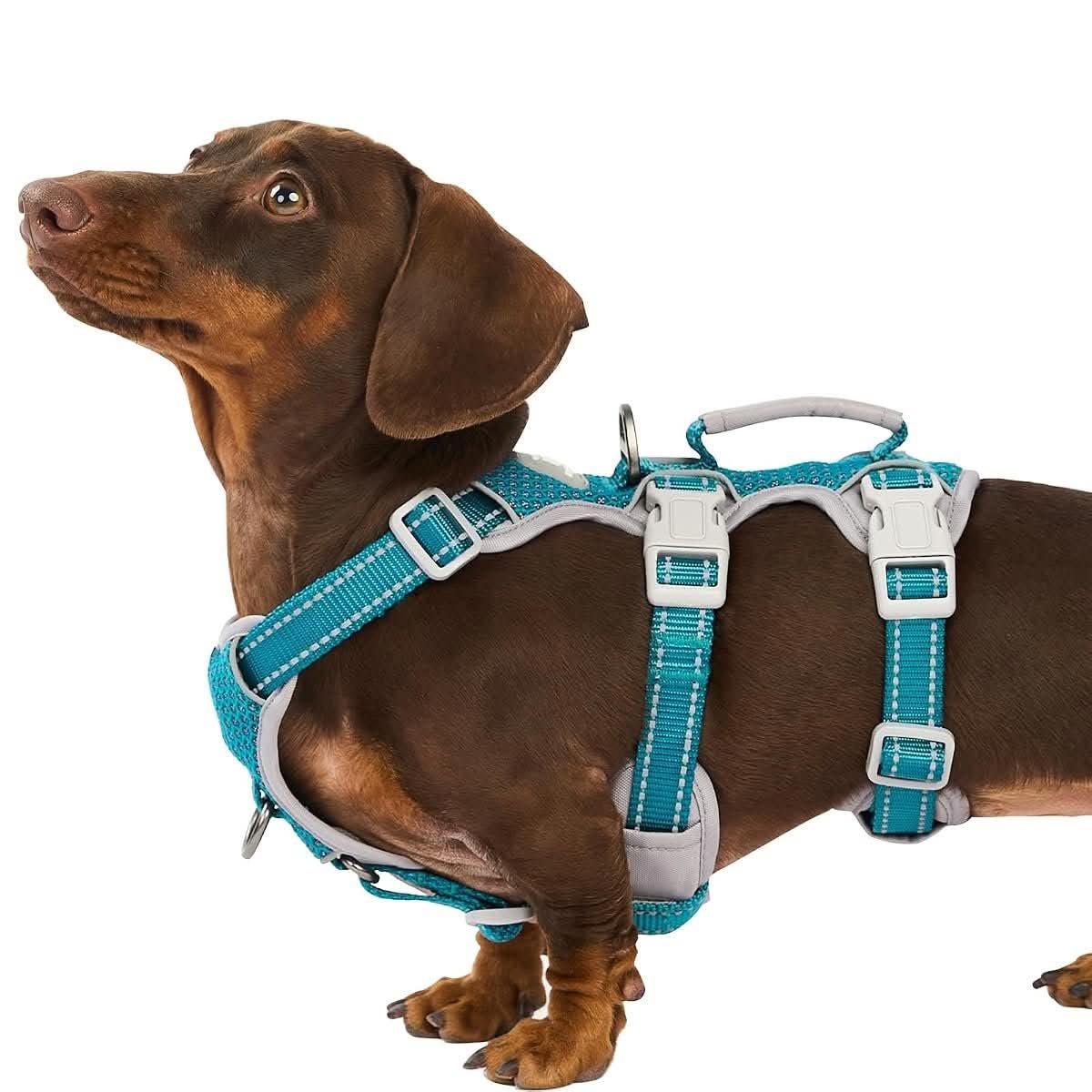 Huntboo Escape Proof Dog Harness