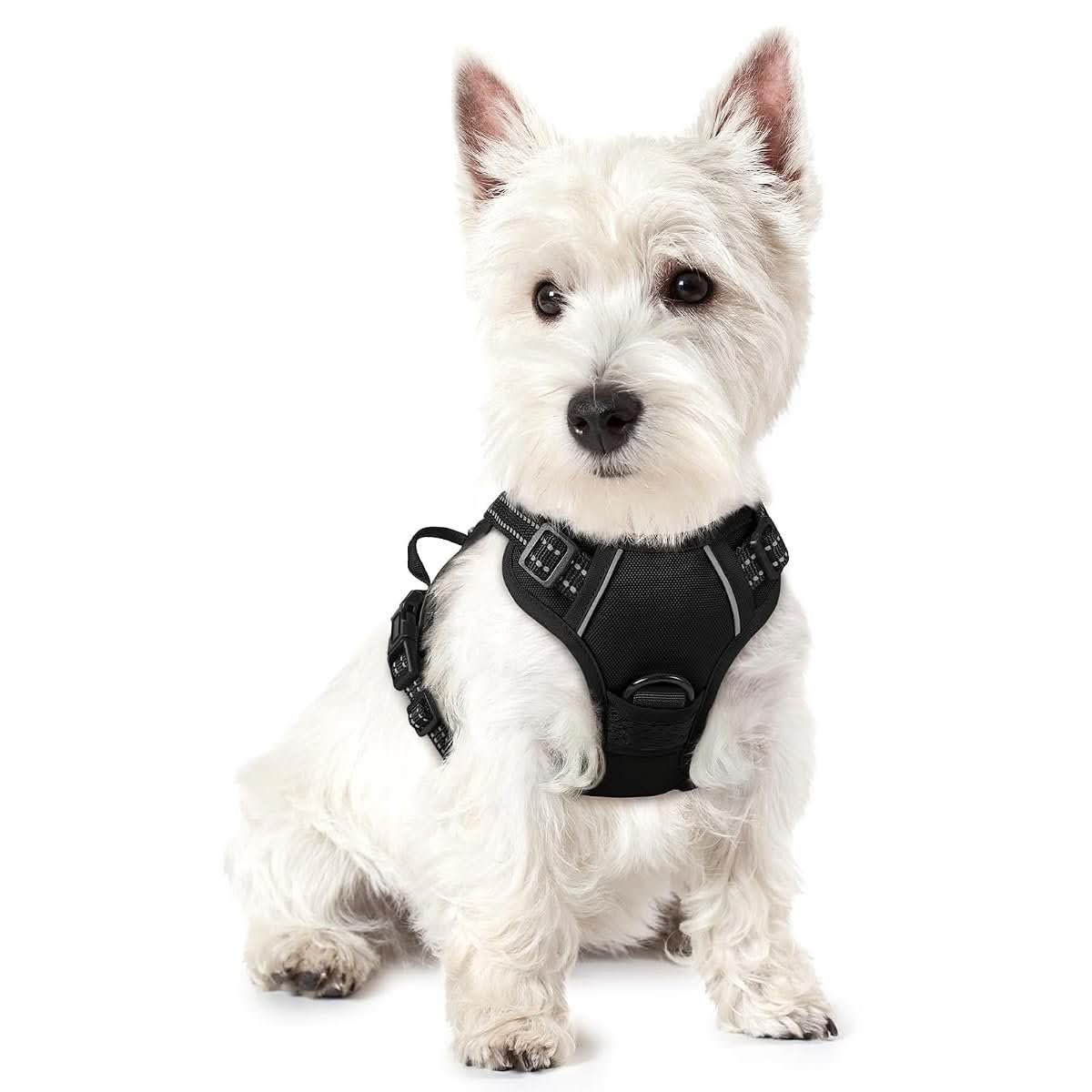 Rabbitgoo No-Pull Harness for puppies and small dogs