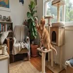 A modern cat tree, one of the best cat tree Australia options, in a home with a cat playing on it.